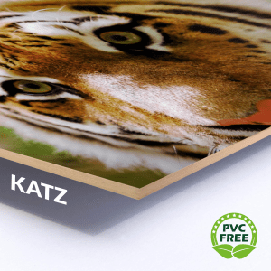 Katz signs